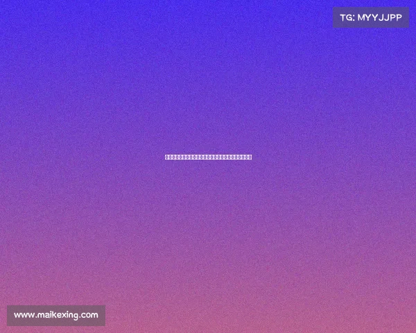 激情澎湃雷诺克里欧赛车赛事激烈角逐共享荣耀时刻盛宴